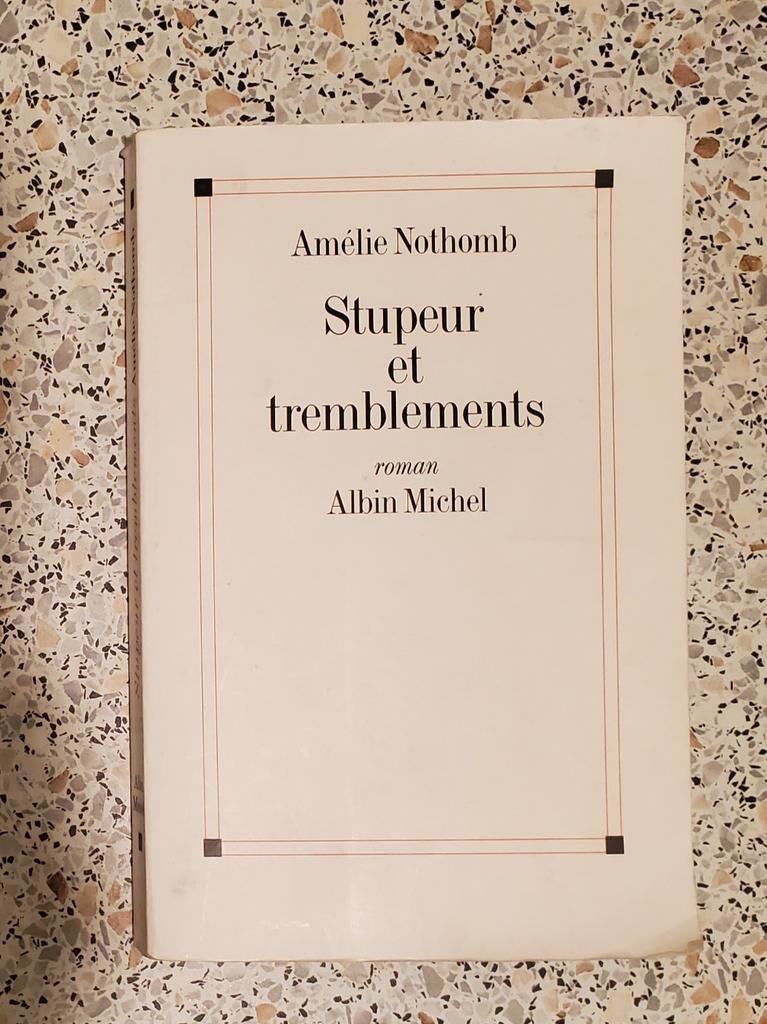 Livre Stupeur et Tremblement d'Amélie Nothomb, Enlèvement ou Envoi