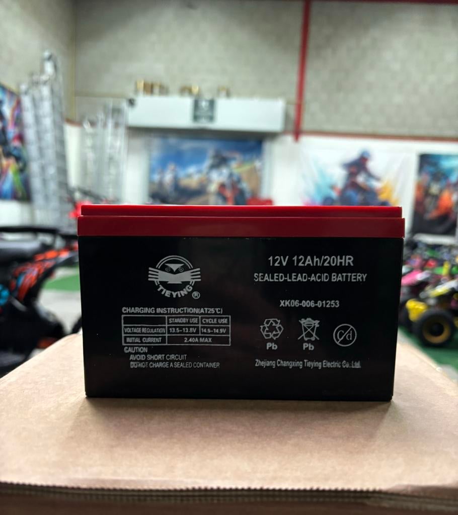 Nieuw Accu 12V 12Ah Voor Elektrische Kinderquad, Ophalen of Verzenden, Nieuw