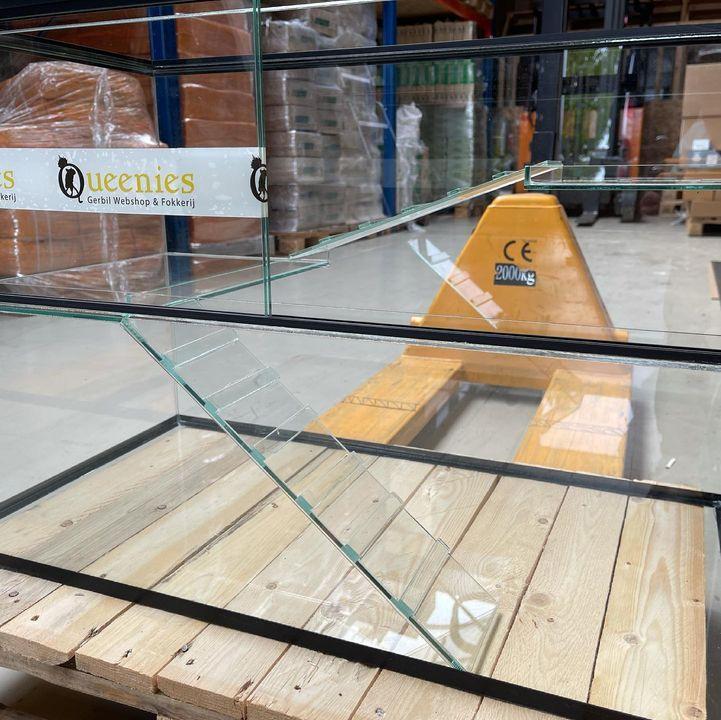 Trap van glas voor gerbilarium, Animaux & Accessoires, Rongeurs & Lapins | Cages & Clapiers, Neuf, Autres types, Moins de 60 cm