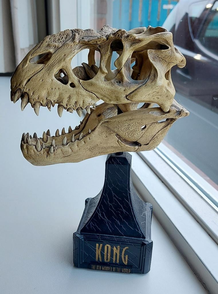 V Rex Skull van Meta Collectibles, Ophalen of Verzenden, Gebruikt, Overige soorten, Beeldje of Figuurtje