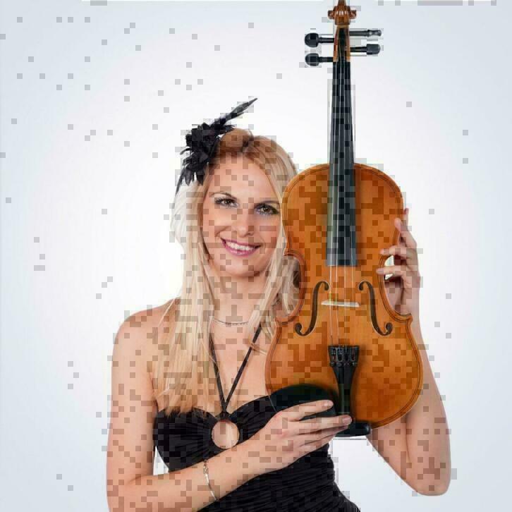 Viool 4/4 incl. vioolkist strijkstok NIEUW, Ophalen, Nieuw