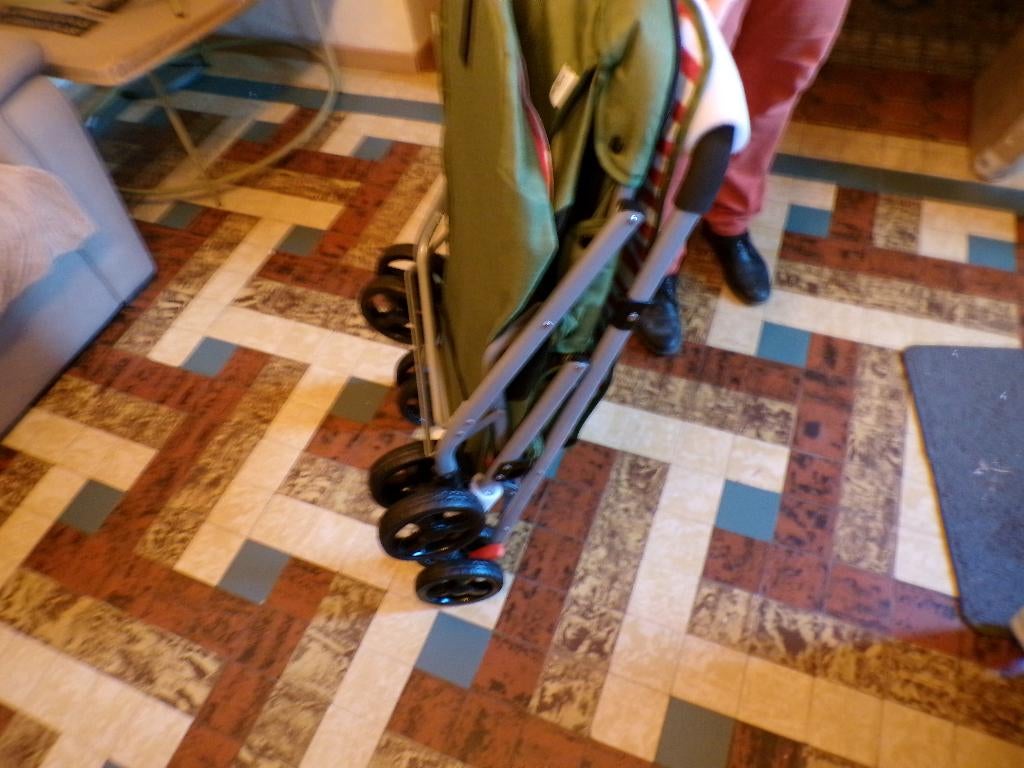 poussette pour chien, Animaux & Accessoires, Enlèvement, Neuf