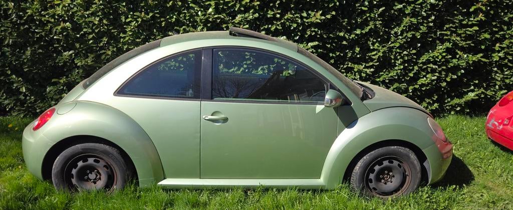 Beetle, Particulier, Achat