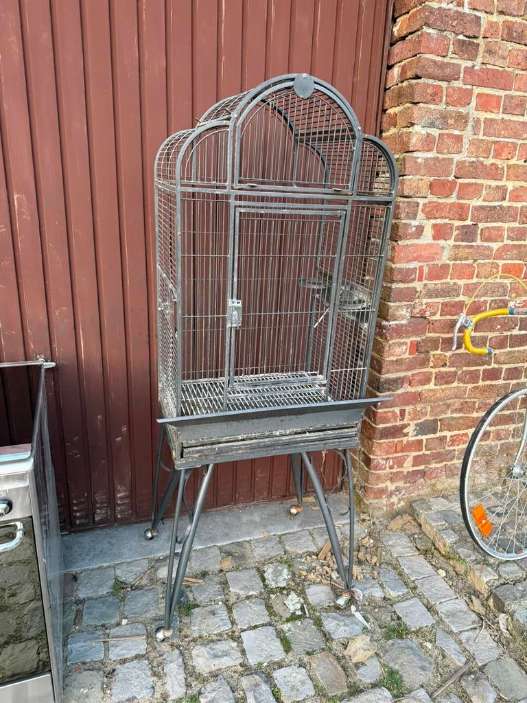 Vogelkooi, Dieren en Toebehoren, Vogels | Hokken en Kooien, Ophalen, Gebruikt, Vogelkooi