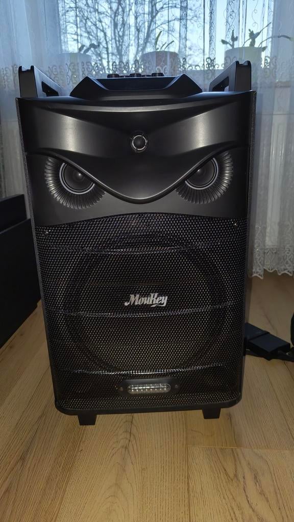 MouKey MTs12-1 Karaoké + 2 microphones, Muziek en Instrumenten, Versterkers | Bas en Gitaar, Zo goed als nieuw, 100 watt of meer