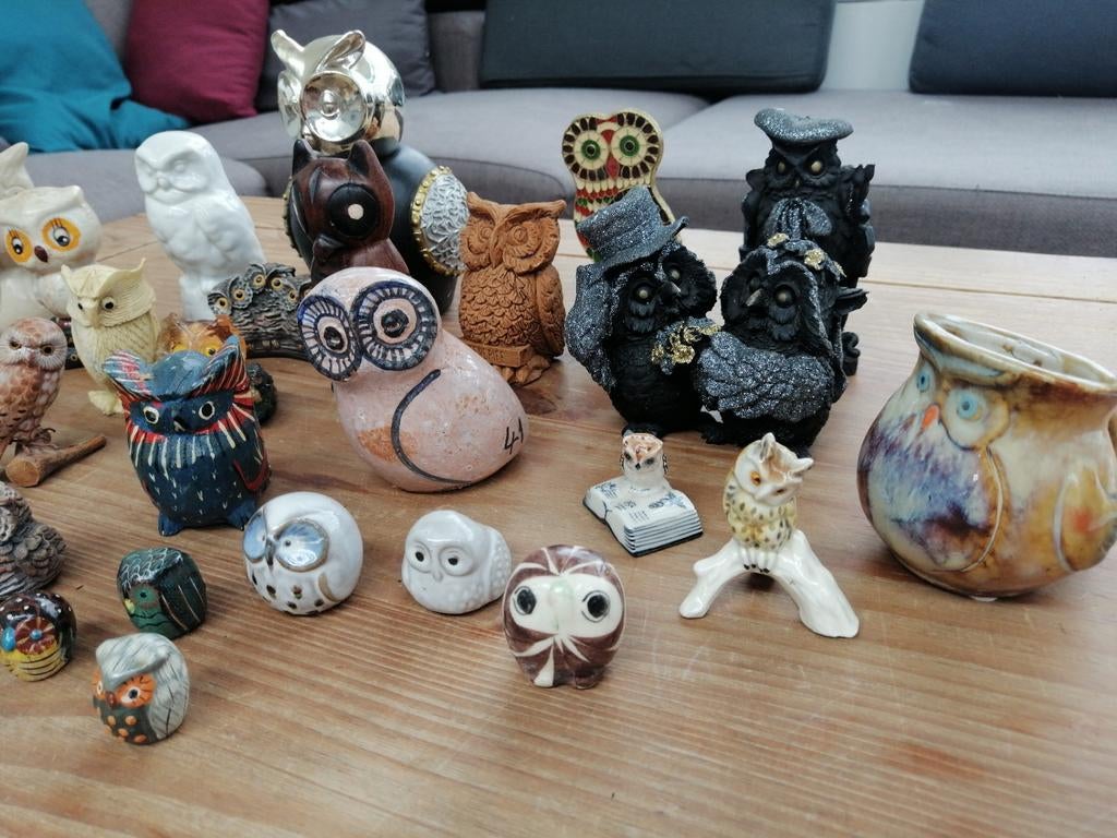 Verzameling uilen, Ophalen