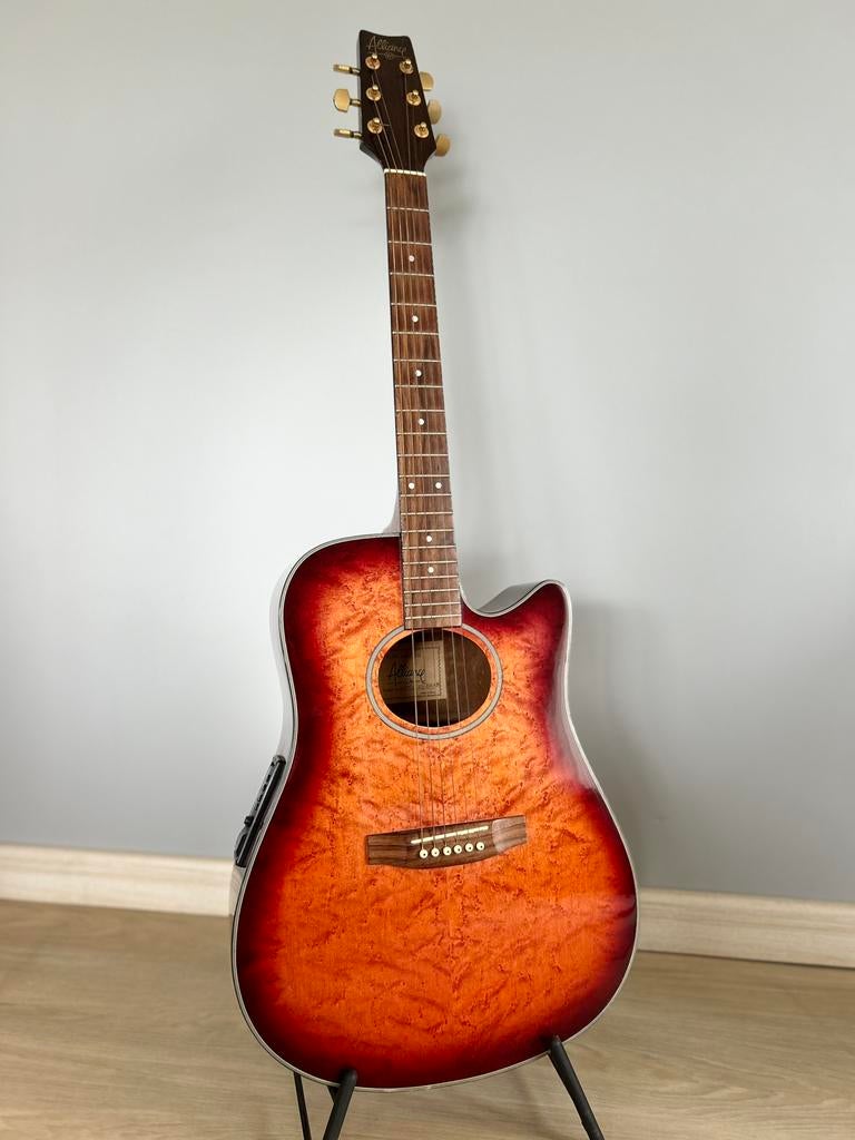 Alliance VP semi akoestische gitaar ‘90, Muziek en Instrumenten, Ophalen, Zo goed als nieuw