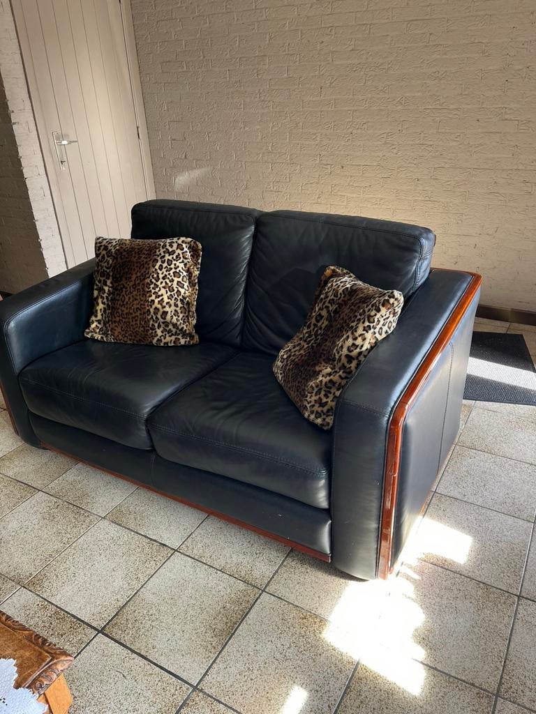 Antieke prachtige lederen 2 zit, Enlèvement, Comme neuf, Bois