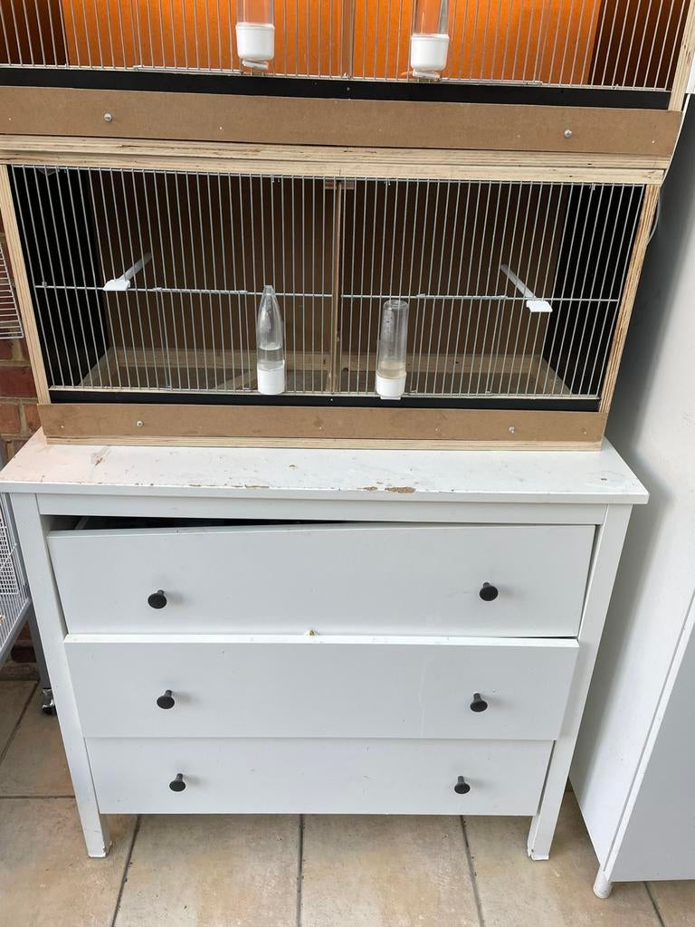 Te koop kweek kooi genaakt uit betonplexplaat van 18 nn dik, Dieren en Toebehoren, Vogels | Kanaries