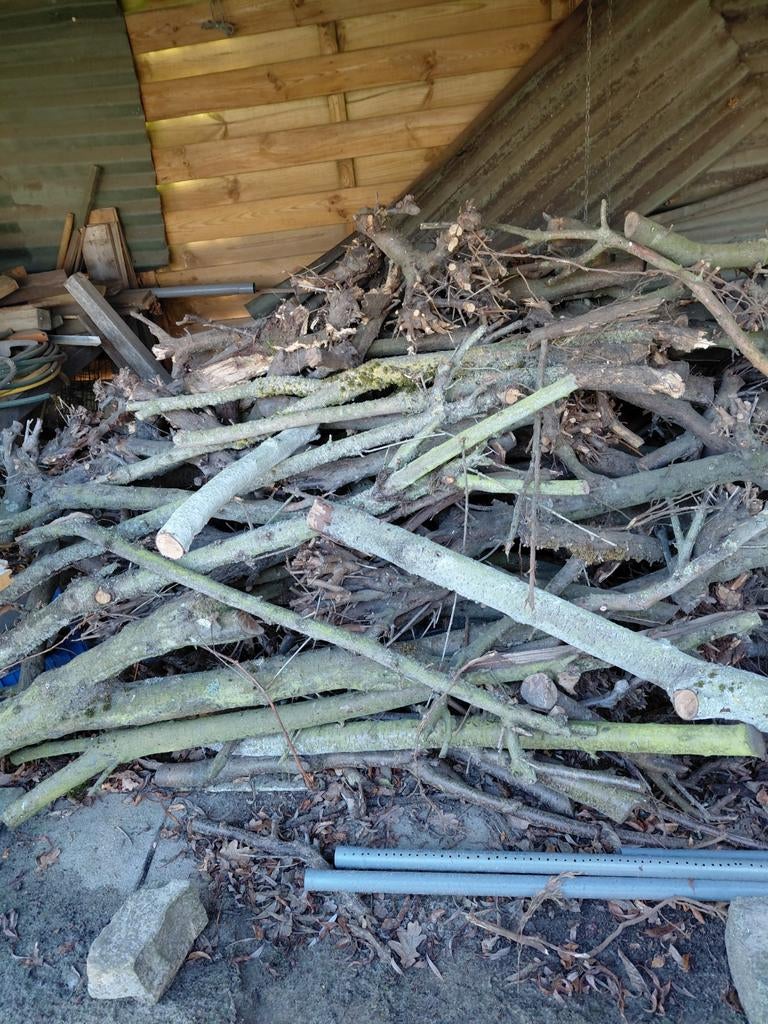 Brandhout, Enlèvement