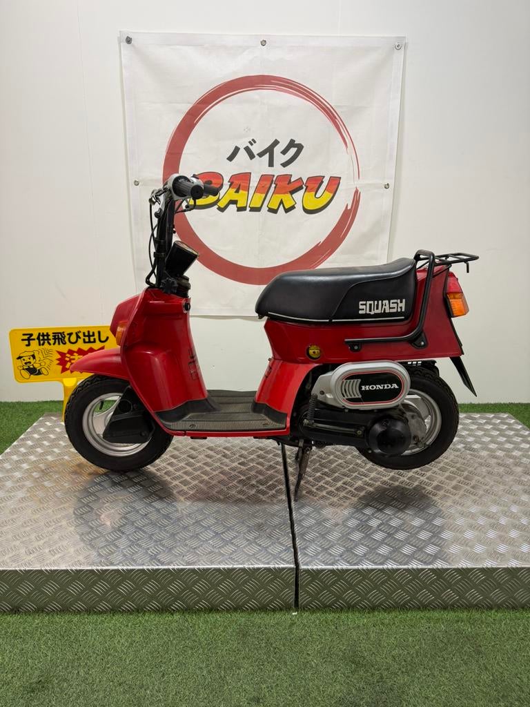 Honda squash te koop!, Vélos & Vélomoteurs, Cyclomoteurs | Oldtimers & Ancêtres, Enlèvement