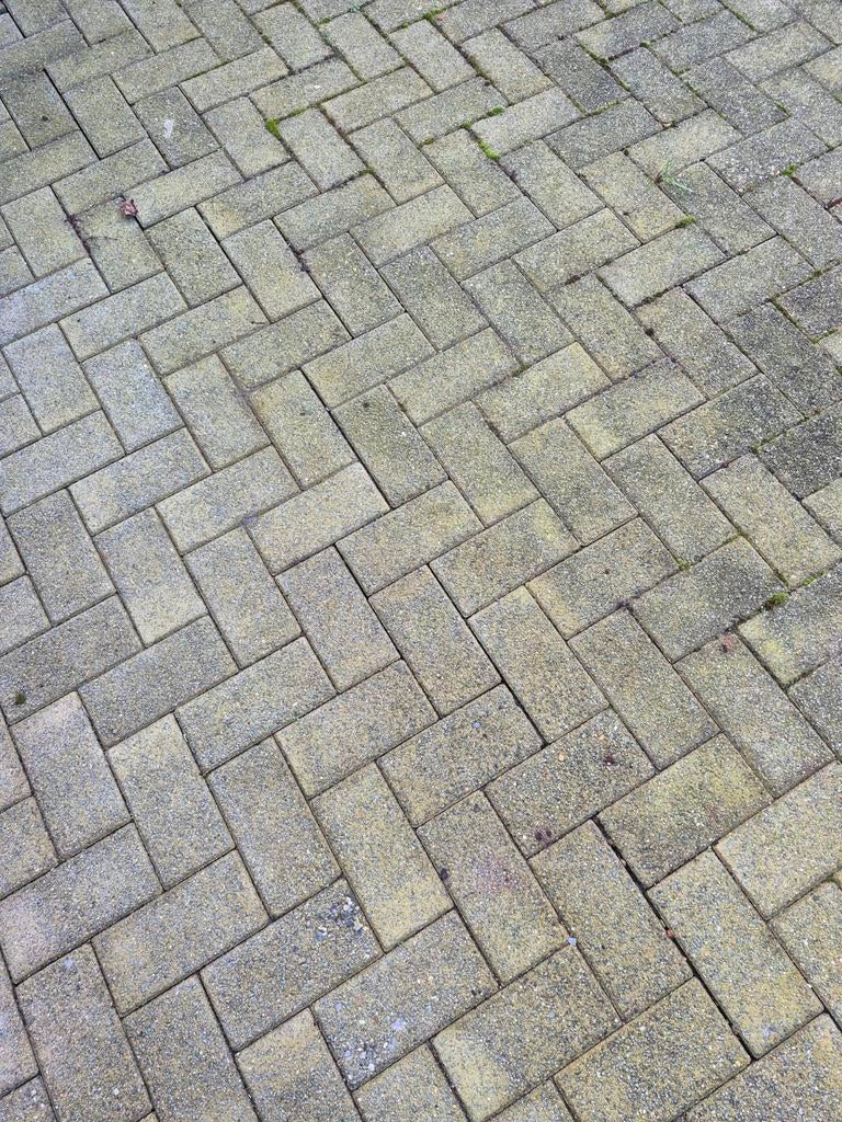 Pavés en béton L22x W11x H6, 110 pièces, Jardin & Terrasse, Pavé & Dalles, Béton, Enlèvement, Utilisé, Briques