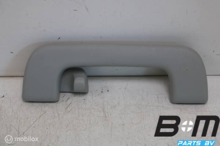 Handgreep in hemel RA Audi Q3 8U FL 8R0857608D, Gebruikt