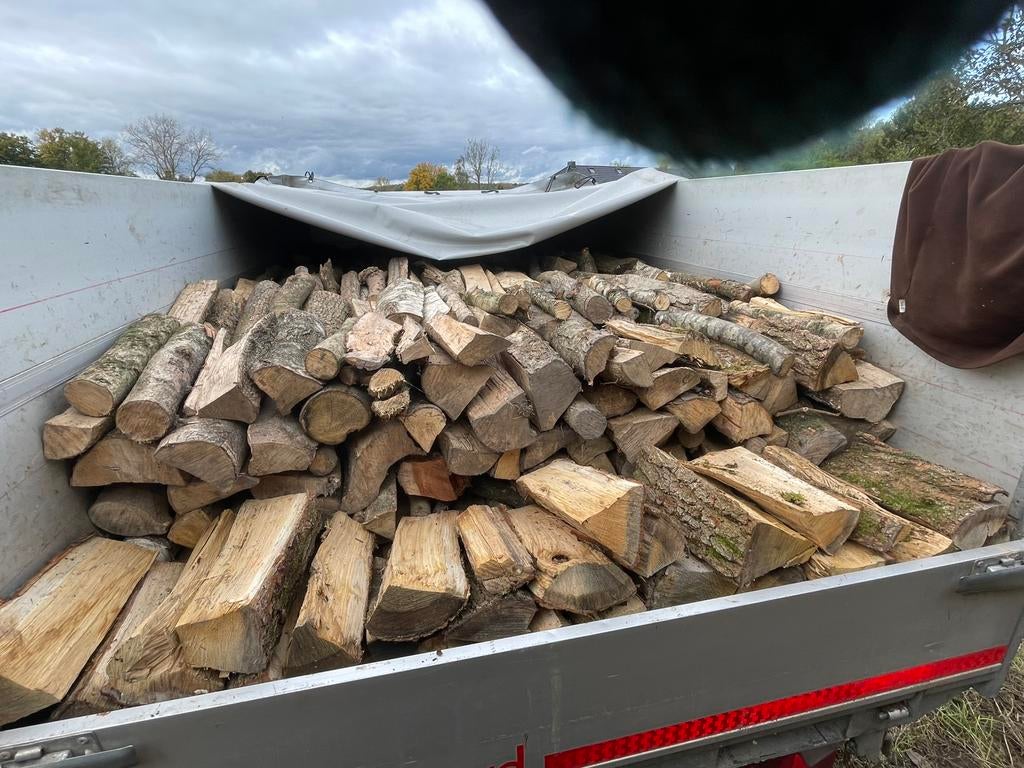 Bois de chauffage avec livraison gratuite !, Enlèvement, Hêtre, Bûches