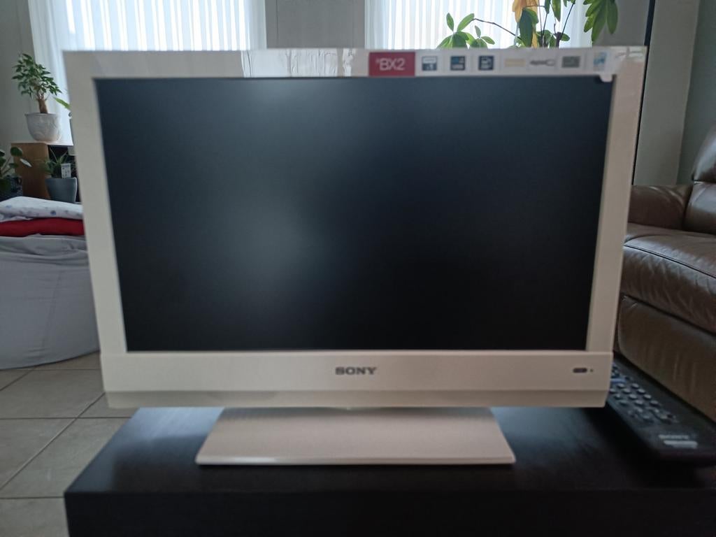 Sony TV of PC Scherm, Enlèvement, Sony