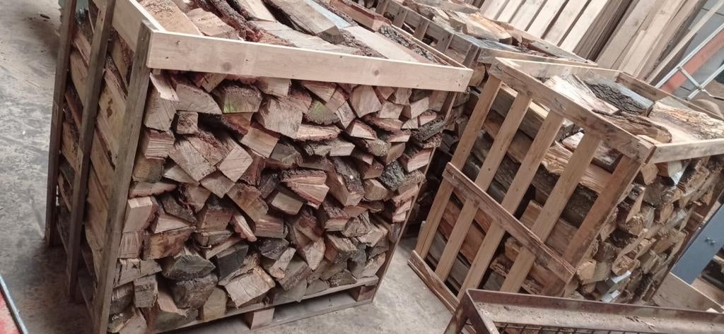 Brand hout eik voor volgend seizoen, Enlèvement