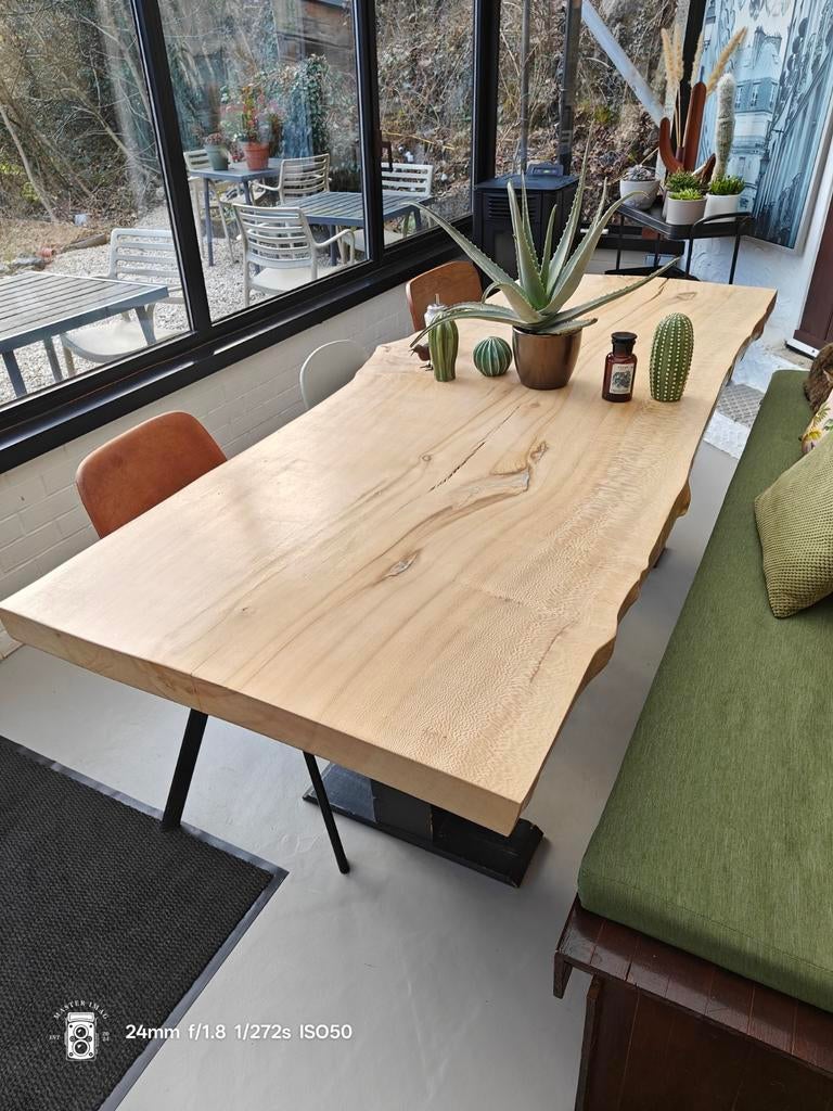 Tafel Boomstam Plataan, Ophalen