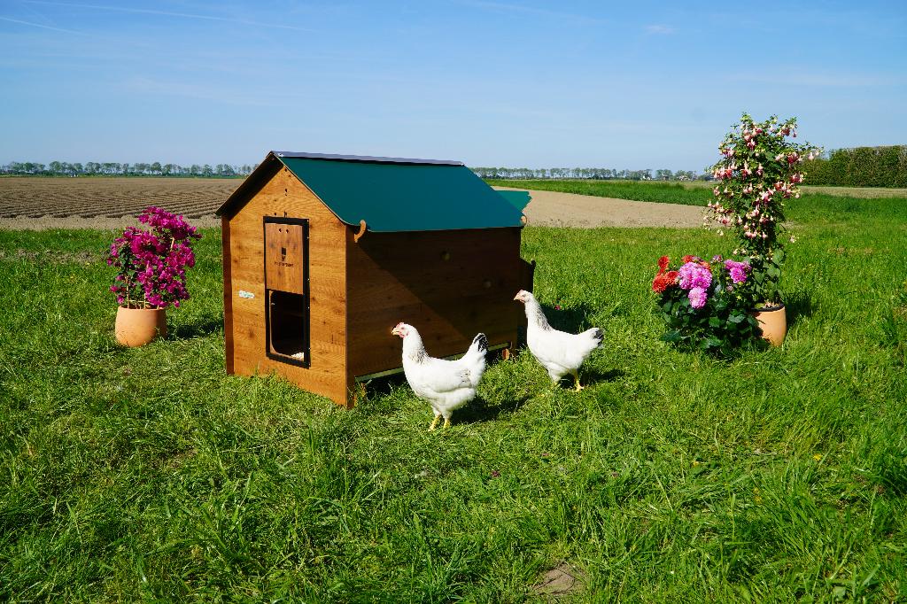 Trespa Kippenhok Cucciolotta Classic 2XL | Grondmodel, Dieren en Toebehoren, Pluimvee | Toebehoren, Ophalen of Verzenden, Nieuw