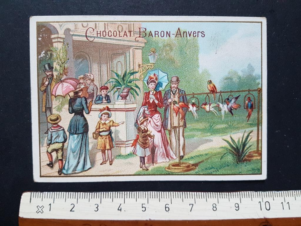 Chromo Chocolat Baron Anvers Antwerpen ZOO Papegaai, Verzamelen, Foto's en Prenten, Zo goed als nieuw, Prent, Dier, Voor 1940
