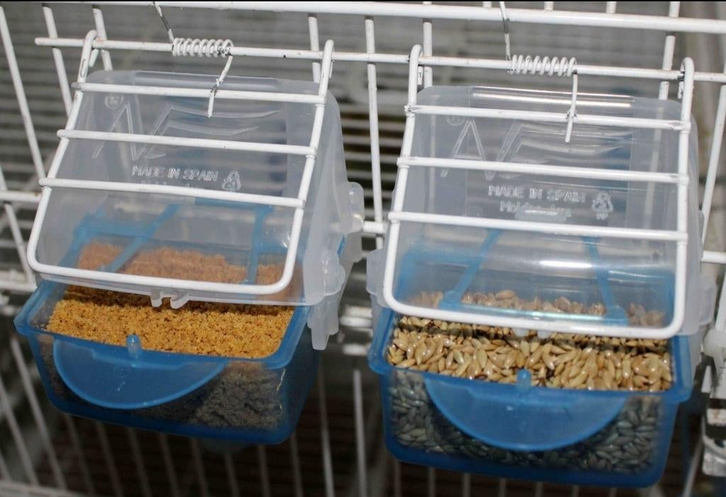 Mangeoire « Lucia » avec plateau amovible - Moldes Ave, Enlèvement