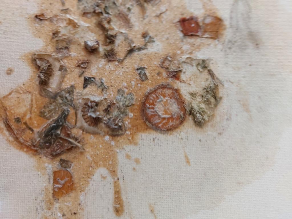 spaghetti sur toile après 5 ans, Envoi