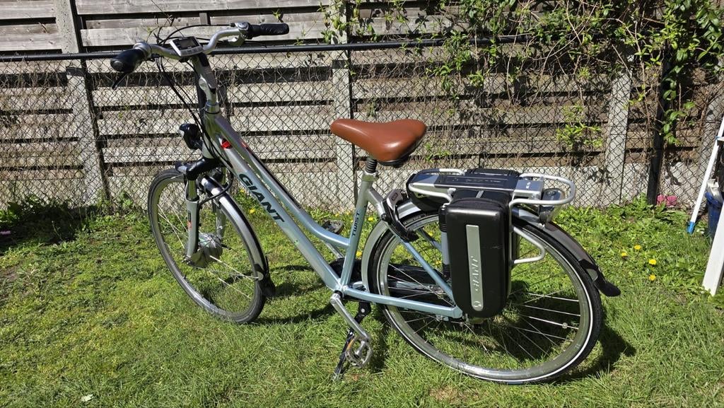 Elektrische Fiets Giant, Fietsen en Brommers, Ophalen, Giant