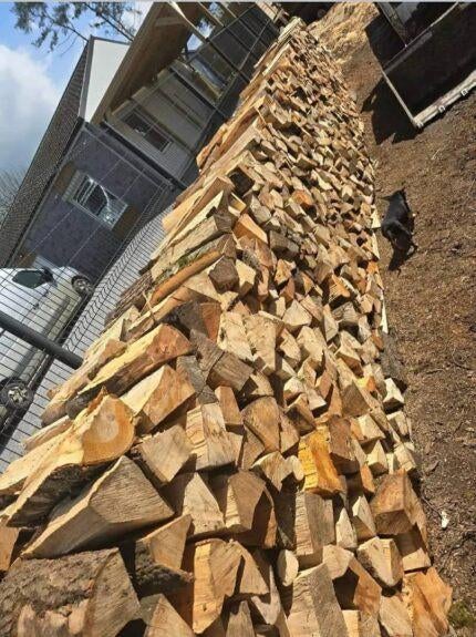 Bois de chauffage, Tuin en Terras, Brandhout, Ophalen, Berkenhout, Blokken