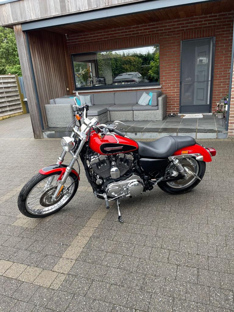 Sportster 1200 custom, Motoren, Particulier