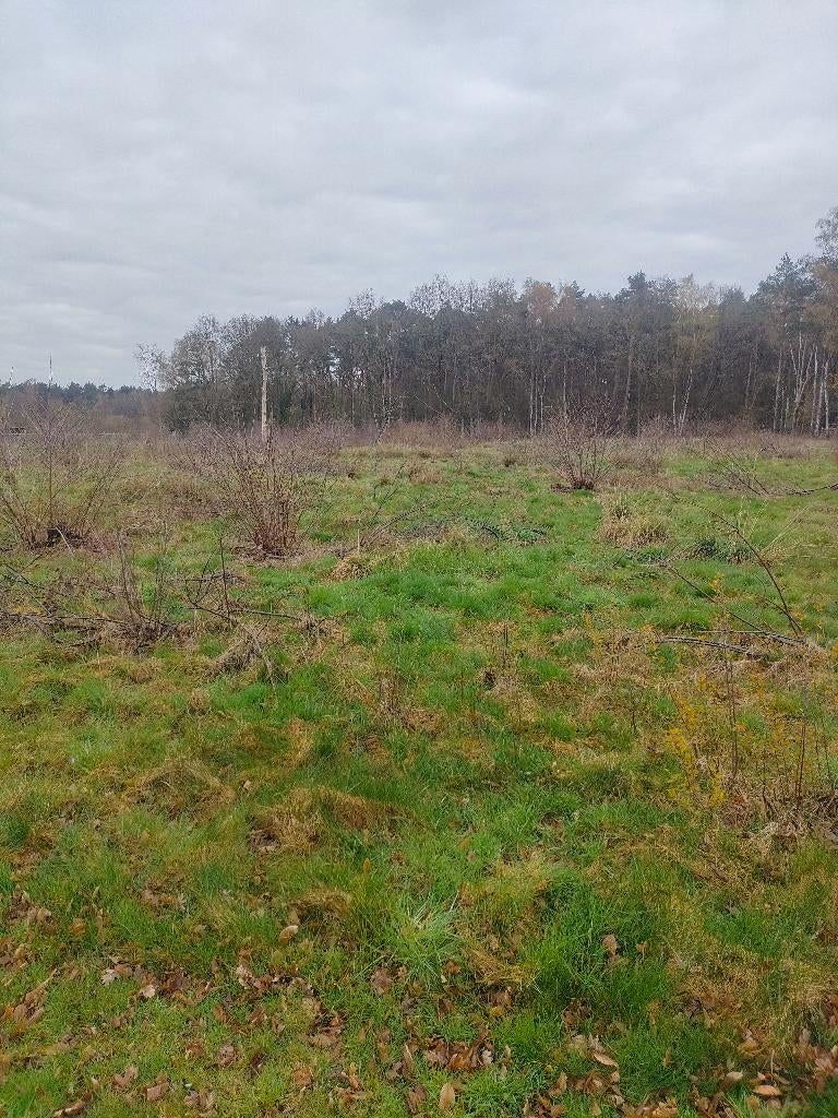 bosgrond, Zutendaal, Verkoop zonder makelaar, 500 tot 1000 m²