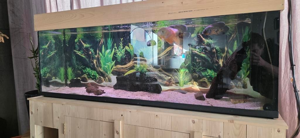 Aquarium, Ophalen