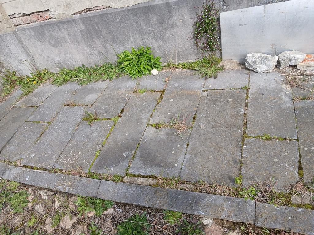 Blauwe steentegels, Ophalen