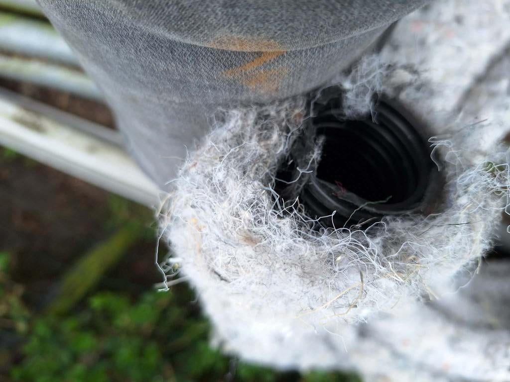 drain buis diam 50, Bricolage & Construction, Tuyaux & Évacuations, Neuf, 6 mètres ou plus, 40 à 60 mm, Enlèvement