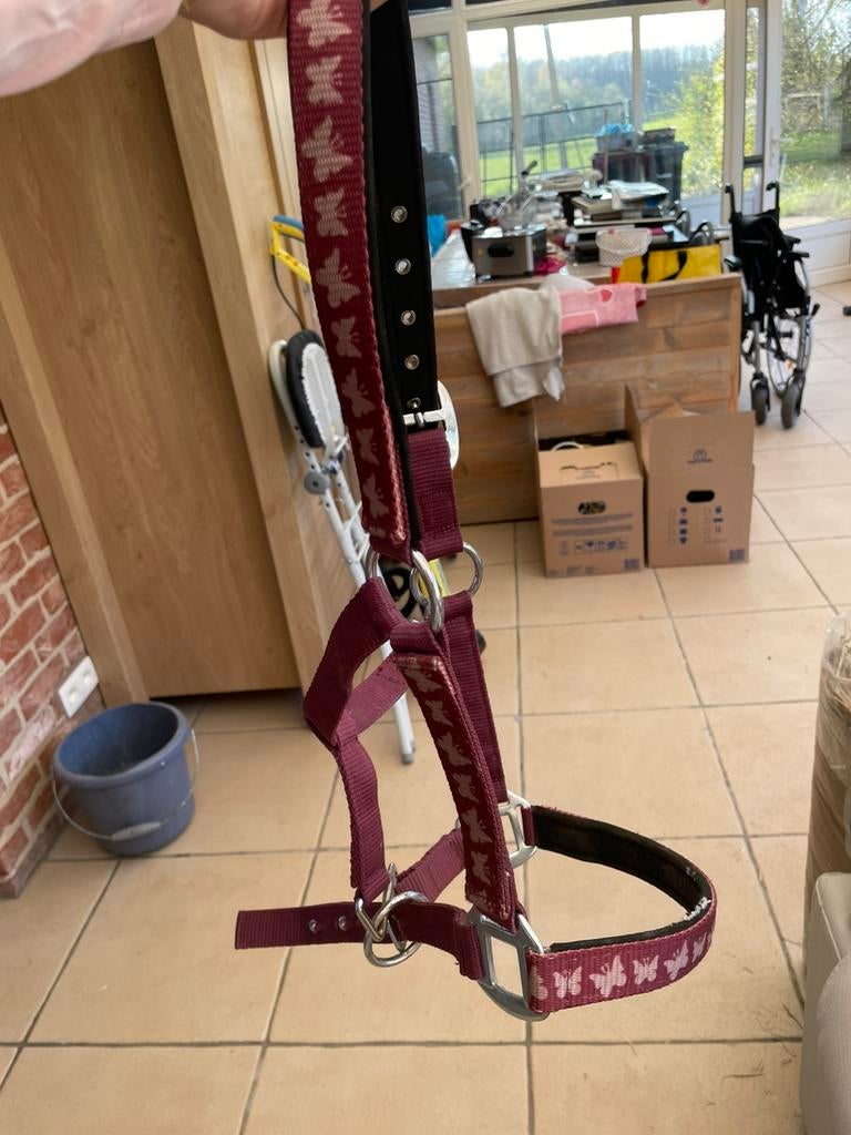 Halster EJ, Dieren en Toebehoren, Ophalen of Verzenden, Gebruikt