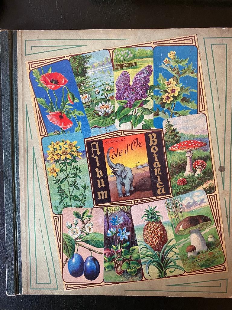 Album Botanica - Édition Côte d'Or, Enlèvement ou Envoi, Utilisé, Cote d'or, Album d'images