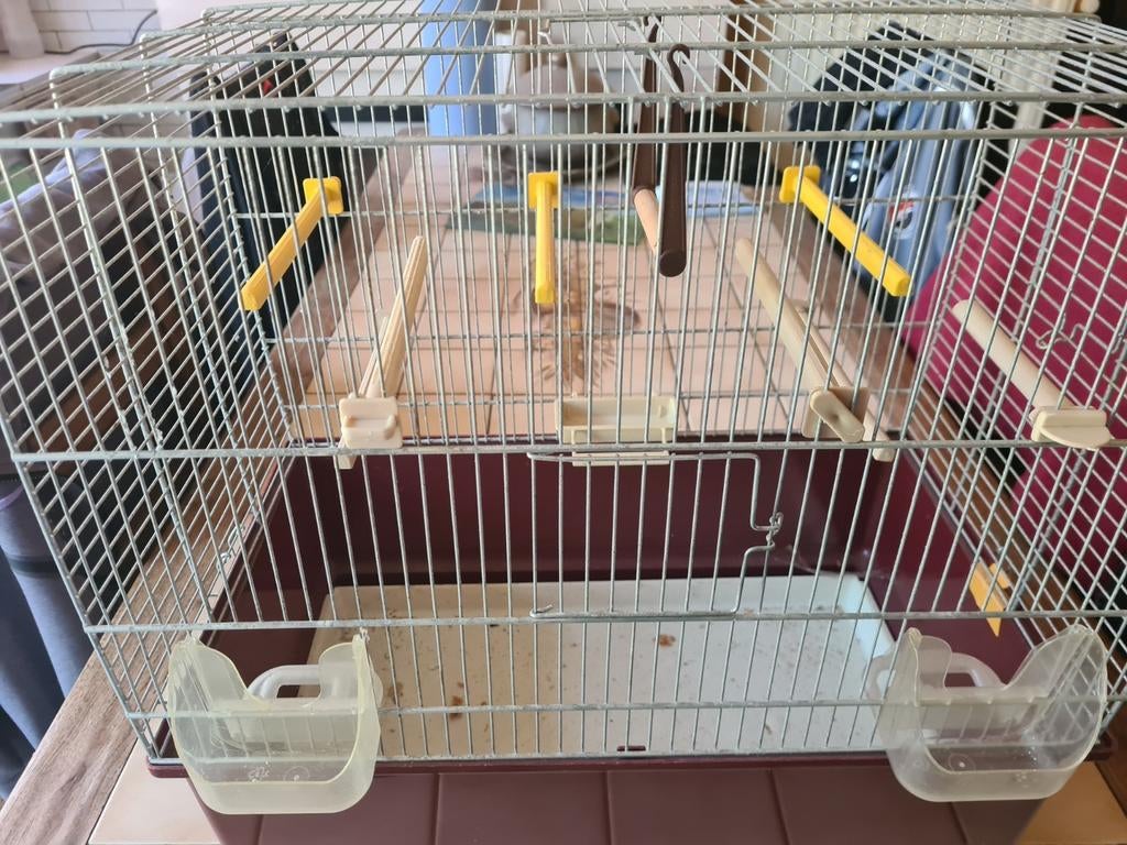 Cage canaris, Enlèvement, Utilisé