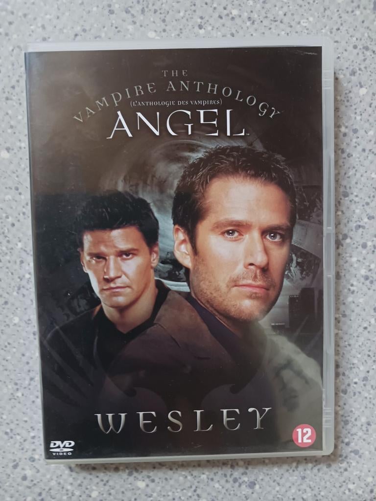 Angel - the vampire anthology: Wesley, CD & DVD, DVD | TV & Séries télévisées, À partir de 12 ans, Enlèvement, Utilisé, Horreur