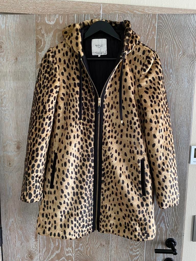 Veste léopard pour femme, Vêtements | Femmes, Enlèvement ou Envoi, Comme neuf, Taille 34 (XS) ou plus petite, Zara