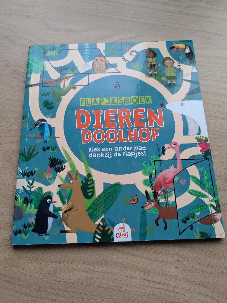Flapjesboek - dieren doolhof, Boeken, Ophalen of Verzenden, Gelezen, Fictie algemeen