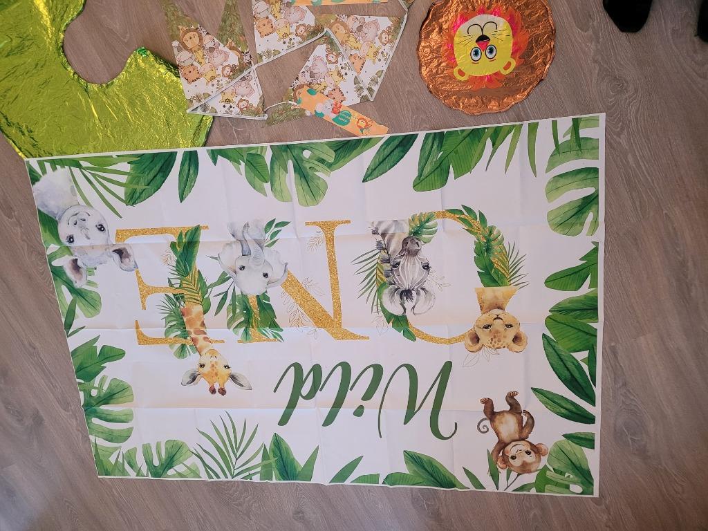 Kit anniversaire animaux, Hobby & Loisirs créatifs, Articles de fête, Enlèvement, Utilisé, Décoration