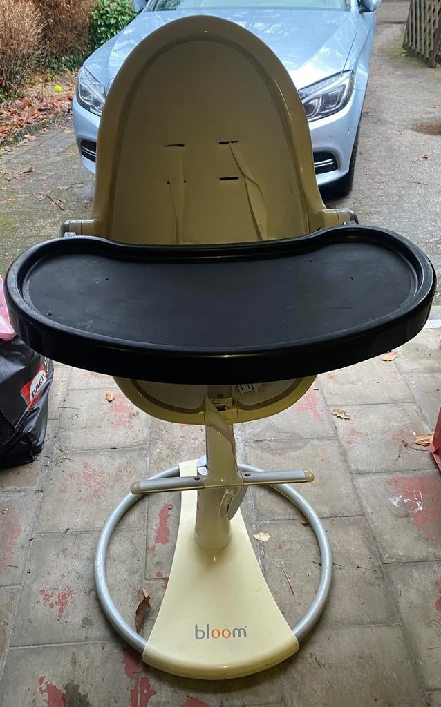 Chaise bébé Bloom Fresco, Enfants & Bébés, Chaises pour enfants, Enlèvement, Utilisé, Ceinture(s)