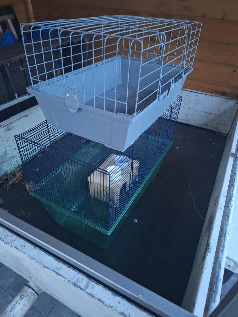 Kooien, Dieren en Toebehoren, Ophalen of Verzenden, Kooi, Cavia