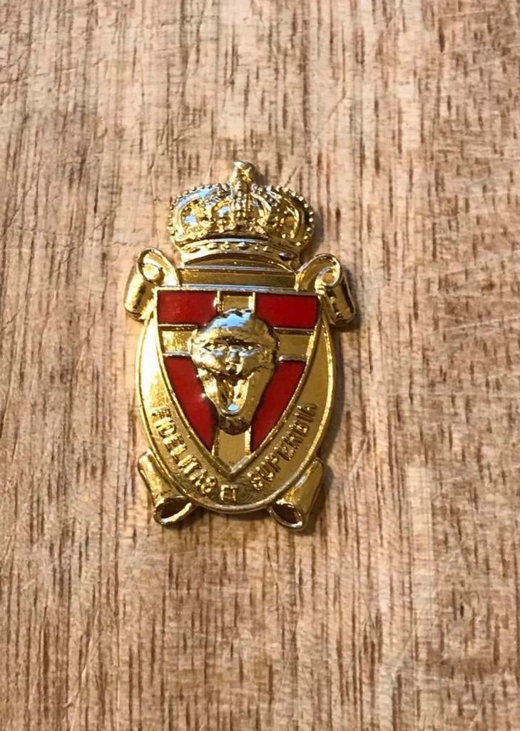 Kenteken Bataljon Bevrijding - goudkleurig, Collections, Enlèvement ou Envoi, Armée de terre