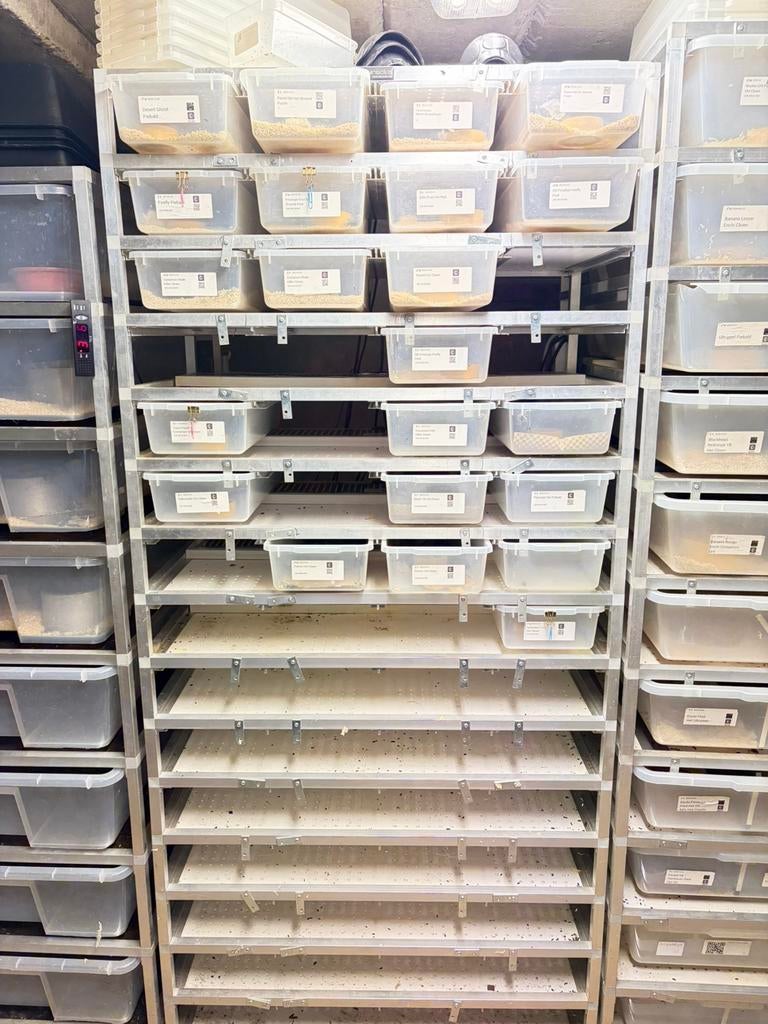 Compleet v18 rack, Dieren en Toebehoren