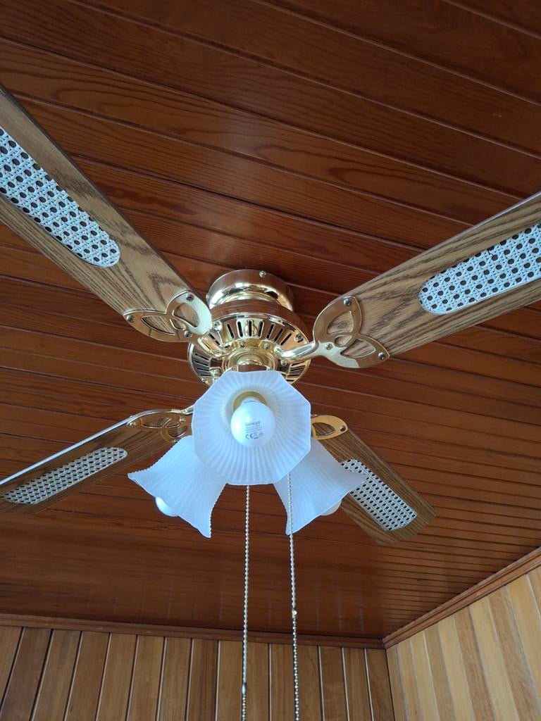 Ventilateur de plafond avec éclairage, Electroménager, Ventilateurs, Enlèvement, Ventilateur de plafond