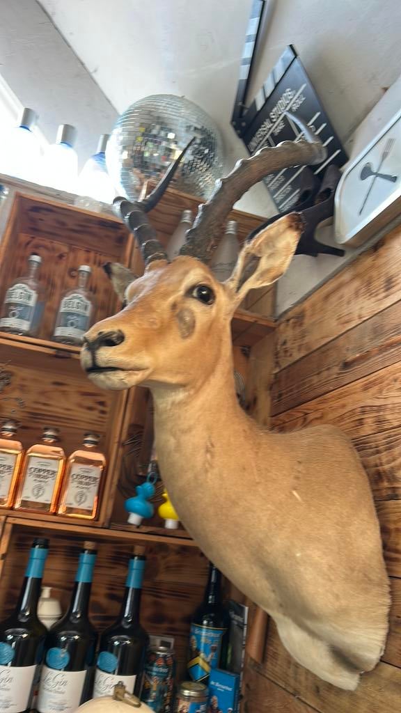 Impala, Verzamelen, Ophalen of Verzenden, Zo goed als nieuw