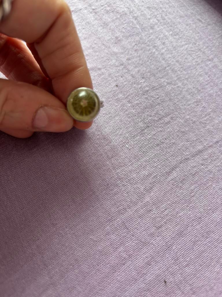 Bac, fantaisie, coquilles d’escargots dans résine, Ophalen of Verzenden, Zo goed als nieuw