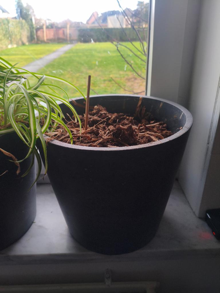 diverse grijze bloempotten (binnen/buiten), 25 tot 40 cm, Overige materialen, Gebruikt, Rond