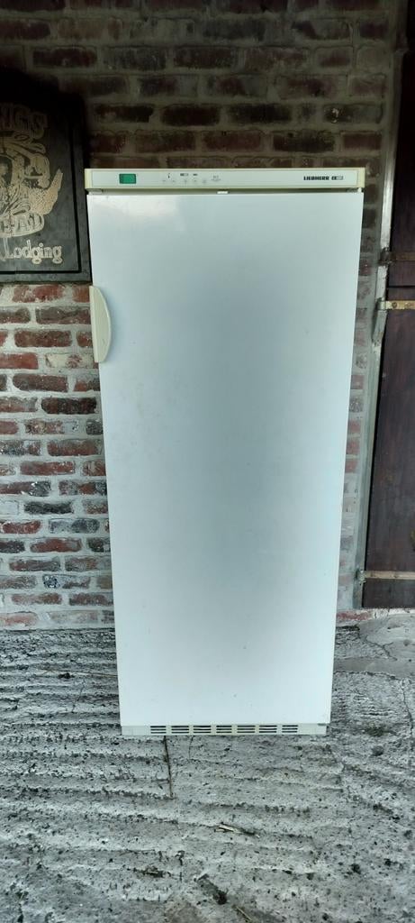 Witte Liebherr diepvries, Elektronische apparatuur, Koelkasten en IJskasten, Ophalen, Gebruikt, 200 liter of meer, 60 cm of meer