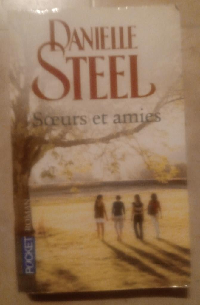Soeurs et amies - Danielle Steel, Ophalen of Verzenden