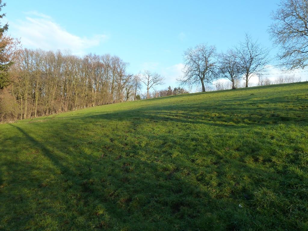 Prairie équidés Modave, Pâturage, 1 cheval ou poney